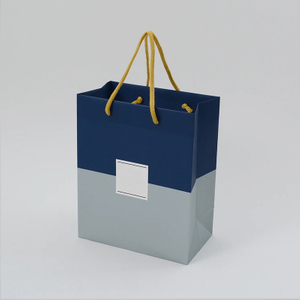 China wholesale luxury branded paper bags with your own logo 